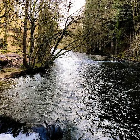 Daire Le Grenier De Charlotte *