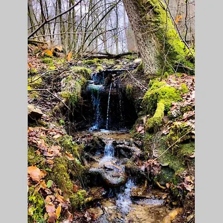 Le Grenier De Charlotte * Libin