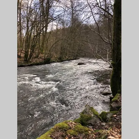 Le Grenier De Charlotte Daire Libin